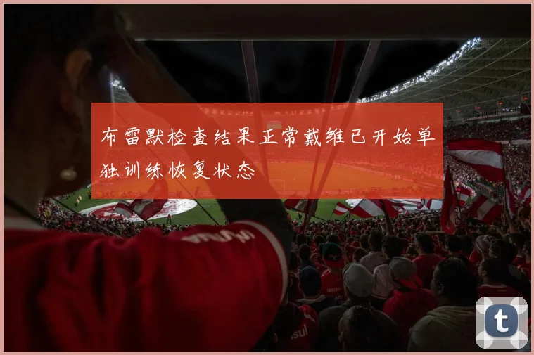 布雷默检查结果正常戴维已开始单独训练恢复状态