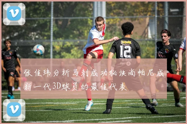 张佳玮分析马刺成功秘诀尚帕尼成新一代3D球员的最佳代表