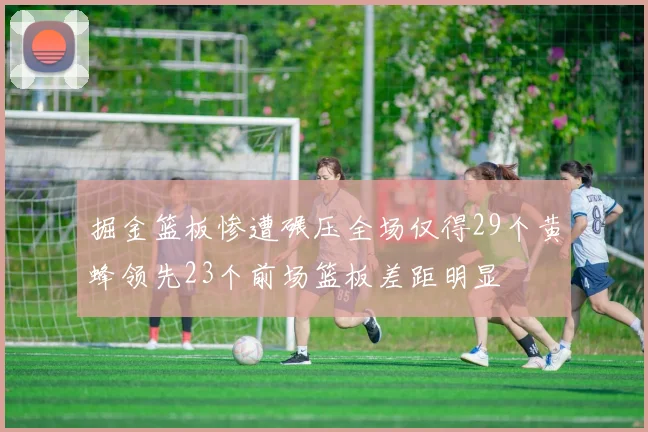掘金篮板惨遭碾压全场仅得29个黄蜂领先23个前场篮板差距明显