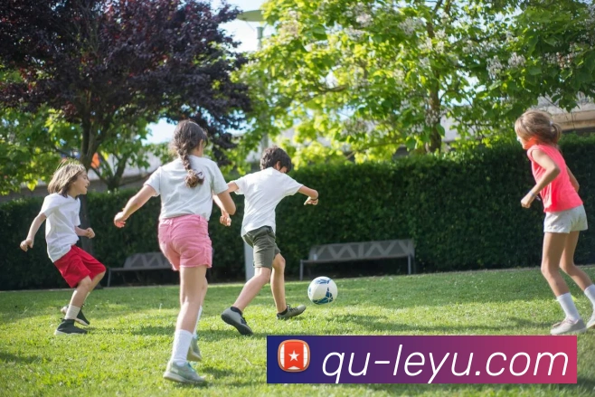 乐鱼体育平台生态图