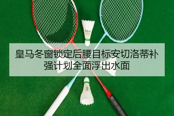 皇马冬窗锁定后腰目标安切洛蒂补强计划全面浮出水面 - leyu